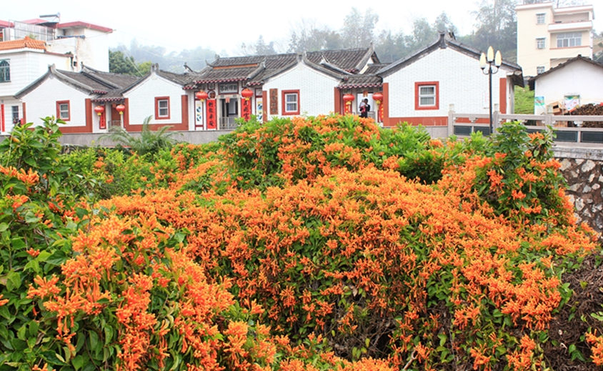 全部活动 铜鼓嶂+黄花村