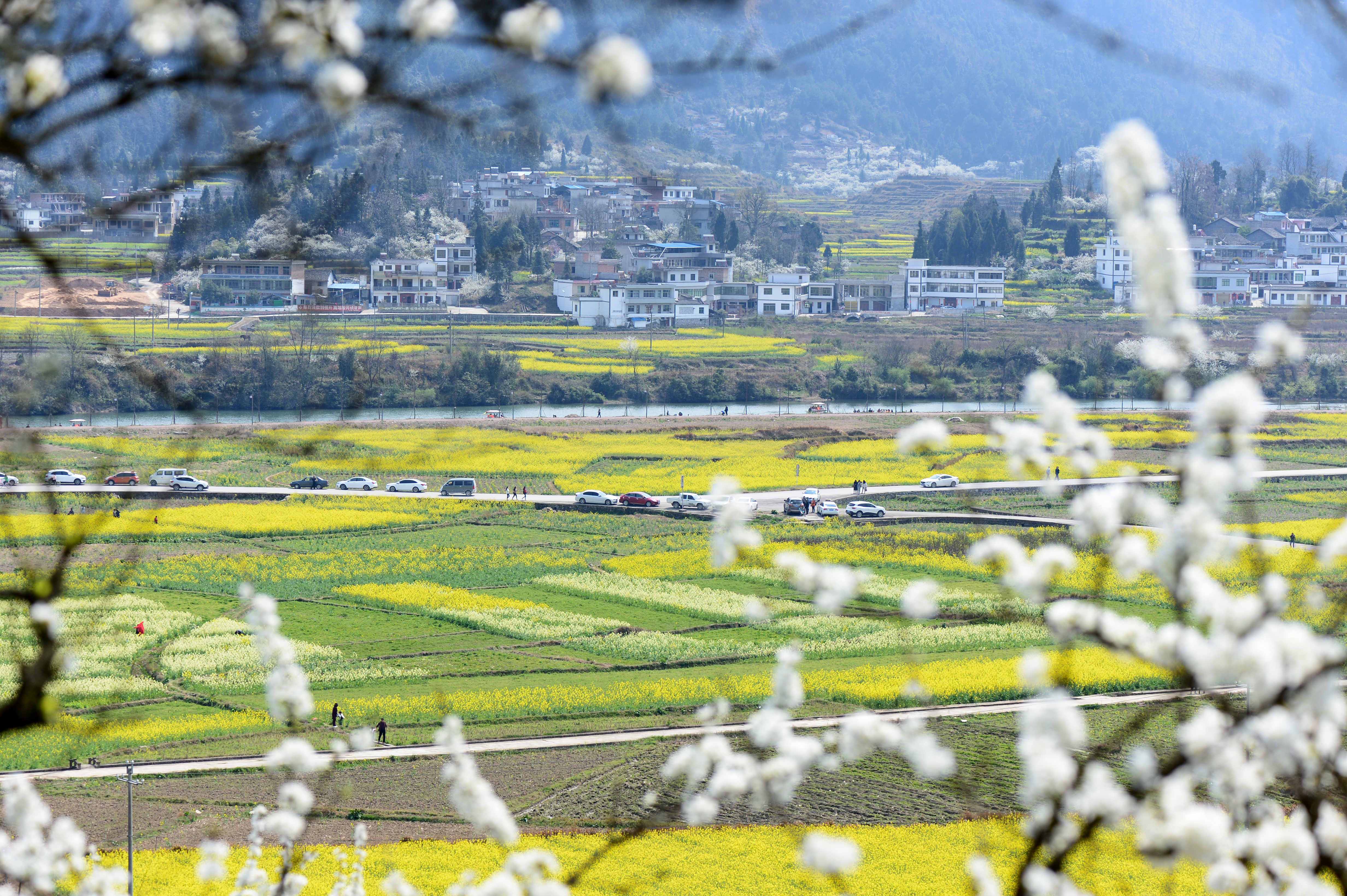 【梵净山4日】金海雪山,天空之城可获得学分:302