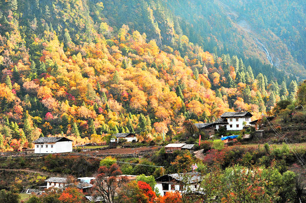 请使用微信扫一扫,在32号公众号上完成报名