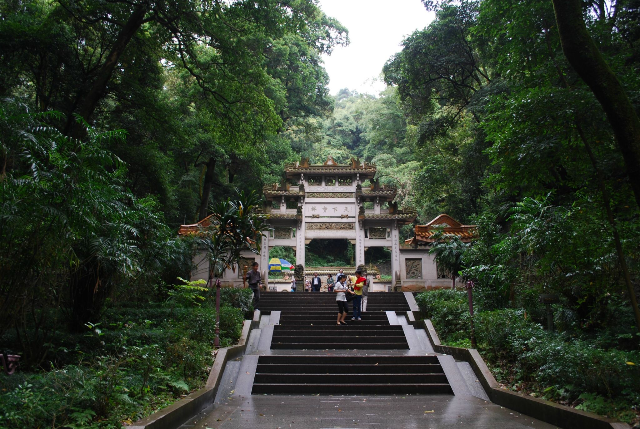 走入南华寺,可见菩提树,水松,榕树,香樟等古树,一派宁静肃穆景象.