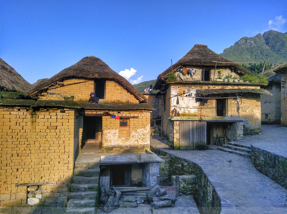 【云中幻镜之旅】云南元阳梯田 普者黑可获得学分:341